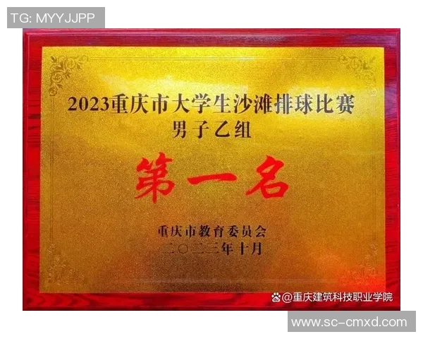 重庆排球队在全国排球灵活性排行榜中荣获第七名的佳绩分析